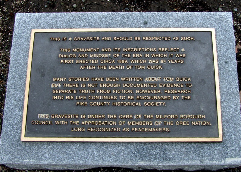  plaque 