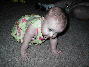  Josie trying to crawl 