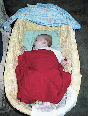  Asleep with her red blanket 