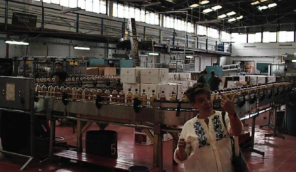  Pisco Production in LaSerena, Chile 