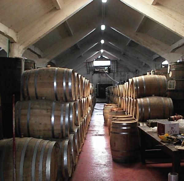  Pisco Production in LaSerena, Chile 